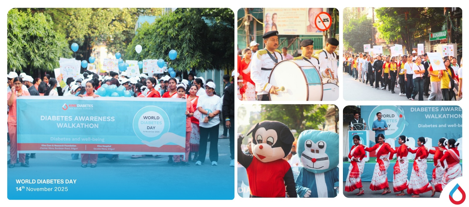 World Diabetes Day Celebration at Kins Diabetes